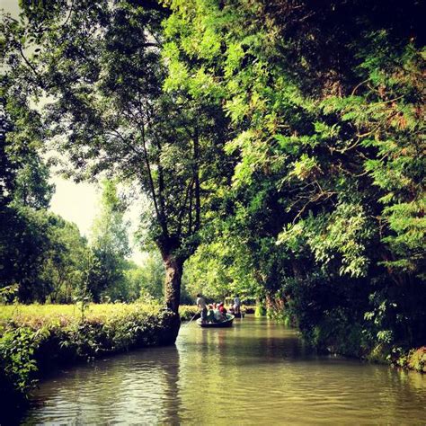 la venecia verde francia|Las Marismas del Poitou, la Venecia verde de Francia